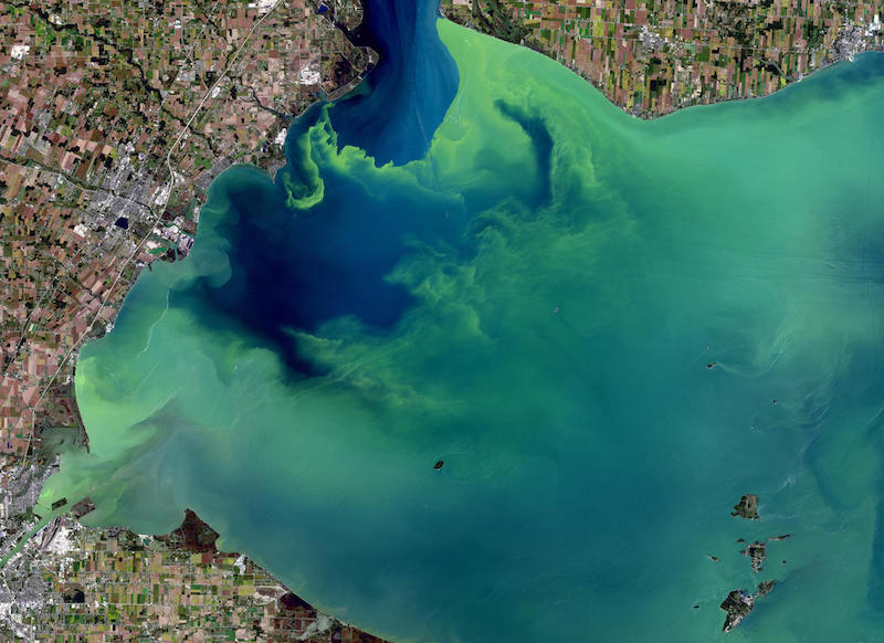 Ever Increasing Algae Blooms &amp; Dead Zones Threaten U.S. Waters &amp; Aquatic Life