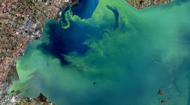 Ever Increasing Dead Zones Threaten U.S. Waters &amp; Aquatic Life