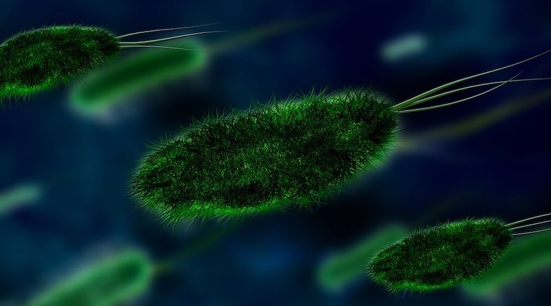 Battelle Receives NSF Funding to Track Viruses in Wastewater