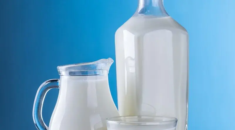 Dairy Operation Violates Clean Water Act