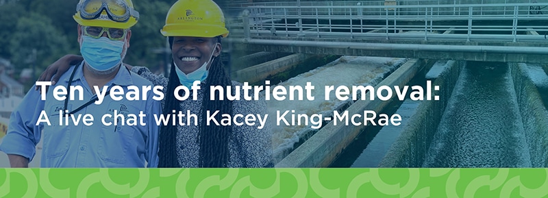 Ten years of nutrient removal: A live chat with Kacey King-McRae