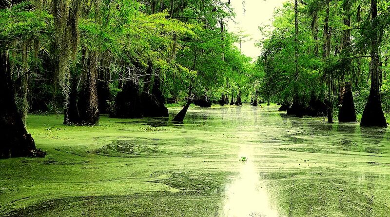 Louisiana Community Water &amp; Sewage Systems Receive Funding