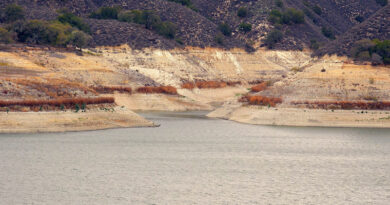 California Water Resources Control Board Adopts Emergency Water Conservation Regulation